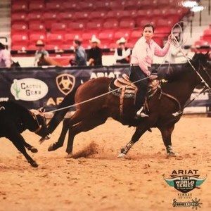 Meet your Posher, Marne